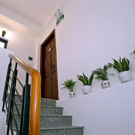 Focus Homestay Hoi An Exterior photo